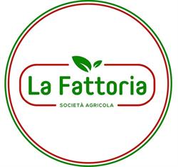 La Fattoria Societa' Agricola S.s., Loreggia orari di apertura