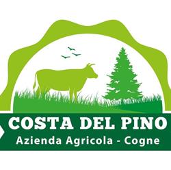 Azienda Agricola Costa del Pino, Cogne orari di apertura