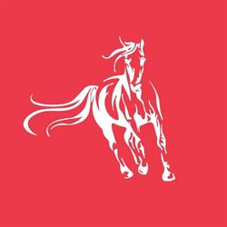 Paddock Bistrot & Public house, Torino orari di apertura