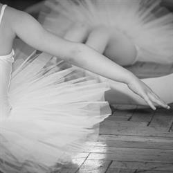 A.S.D. Happy Dance School New Academy, Torino orari di apertura