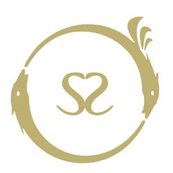 LogoSolar SRL - Alchemy Remedies, Sasso Marconi orari di apertura