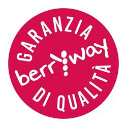 Berryway s.r.l, Saluzzo orari di apertura