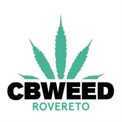 Cbweed shop Rovereto, orari di apertura