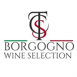 TCS Borgogno S.R.L., Mondovì orari di apertura
