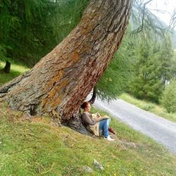 Erboristeria La Betulla, Como orari di apertura