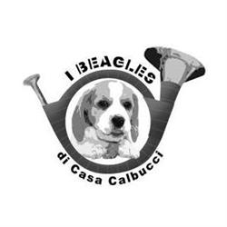 I Beagles di Casa Calbucci, Prignano sulla Secchia orari di apertura