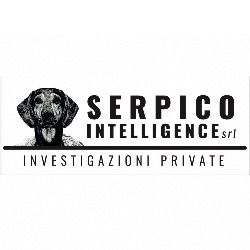 Serpico Intelligence Informazioni Commerciali Investigazioni, Roma orari di apertura