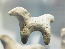 Museo della Terramara Santa Rosa, Poviglio orari di apertura