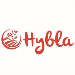 Hybla Conserve Soc. Agr. Srl, Vittoria orari di apertura