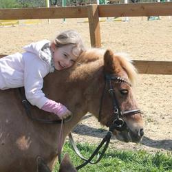 Pony Club Hollytree, Cave orari di apertura