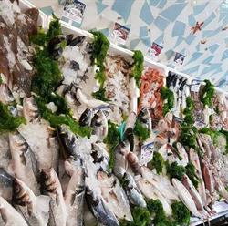 Pescheria da Ciro, Salerno orari di apertura