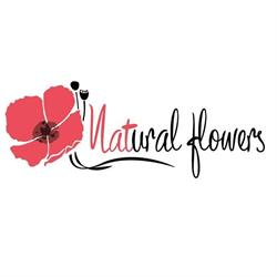 Natural flowers, Fontevivo orari di apertura