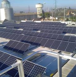 Electricity S.r.l., Portomaggiore orari di apertura