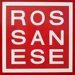 Rental Solutions Rossanese, Senago orari di apertura