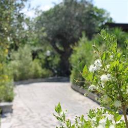 Villa Romano, Gallipoli orari di apertura