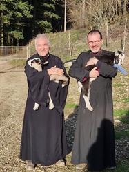 Monastero del Silenzio, Barberino di Mugello orari di apertura