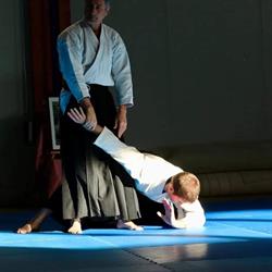 Aikishinrei Dojo Aikido, Roma orari di apertura