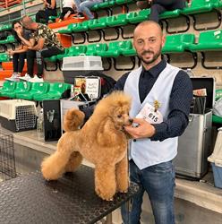 Toelettatura Catania di Giuseppe Benigno, orari di apertura