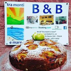 Bed and Breakfast Tra Monti e Mare, Ogliastro Cilento orari di apertura