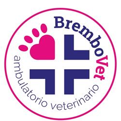 Ambulatorio Veterinario BremboVet, Brembate orari di apertura