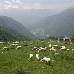 Azienda Agricola 3 Effe, Novalesa orari di apertura