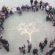 Scuola dell'Infanzia Provera Nido integrato I Cuccioli, Treviso orari di apertura
