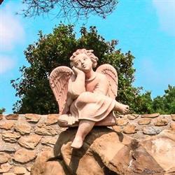 Podere dell'Angiolo, Piegaro orari di apertura