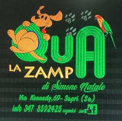 Qua La Zampa, Sapri orari di apertura