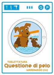 Toelettatura Questione di Pelo, Rovigo orari di apertura