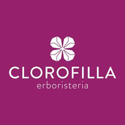 Erboristeria Clorofilla di Silvia Zanette, Conegliano orari di apertura