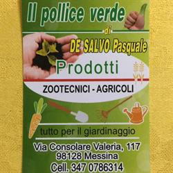 Il Pollice Verde, Messina orari di apertura