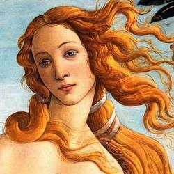 Le stanze di botticelli, Termoli orari di apertura
