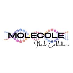 Molecole Srl - Beautech, Frosinone orari di apertura
