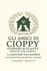 Gli Amici di Cioppy Bari, orari di apertura