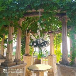 Ditelo Con I Fiori di Renè Pirrone, Francofonte orari di apertura