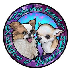 Allevamento Kingdom Of Venus, Chiari orari di apertura