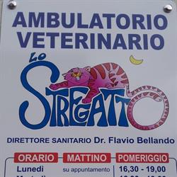 Ambulatorio Veterinario dr. Bellando, Sant'Antonino di Susa orari di apertura