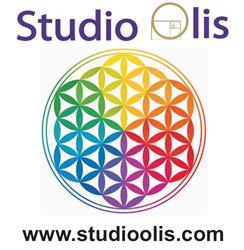 Studio Olis, Porto Recanati orari di apertura
