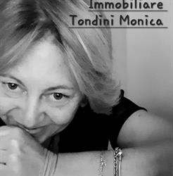 Agenzia Immobiliare Vivir Casa di Tondini Rag. MONICA, Castiglione delle Stiviere orari di apertura