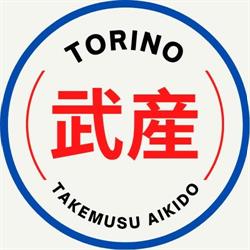Takemusu Aikido Torino presso R.S.G.T., orari di apertura
