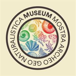 Museum. Mostra archeo geo naturalistica di Tarcento, orari di apertura