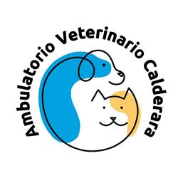 Ambulatorio Veterinario Calderara, Calderara di Reno orari di apertura
