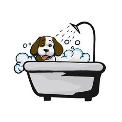 Dog Shower Point Silvi, orari di apertura