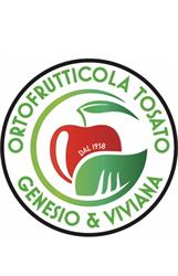 Ortofrutticola Tosato Genesio & Viviana, San Giorgio delle Pertiche orari di apertura