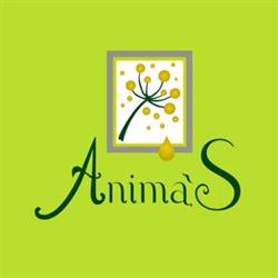 Elicriso Anima's, Telti orari di apertura