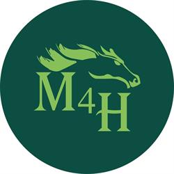 MASTER 4 HORSE (M4H) di Artemisia srls, Pisa orari di apertura