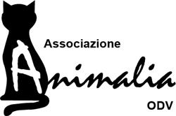 Gattile Oasi Felina Pesaro - Animalia Odv, orari di apertura