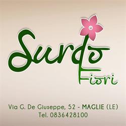 Surdo fiori, Maglie orari di apertura