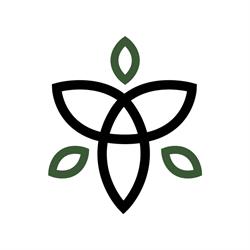 Tree - Colavoro, Formazione e Lavoro, Aversa orari di apertura
