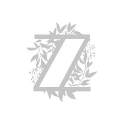 Fiori Zanchi di Zanchi Francesca, Alzano Lombardo orari di apertura